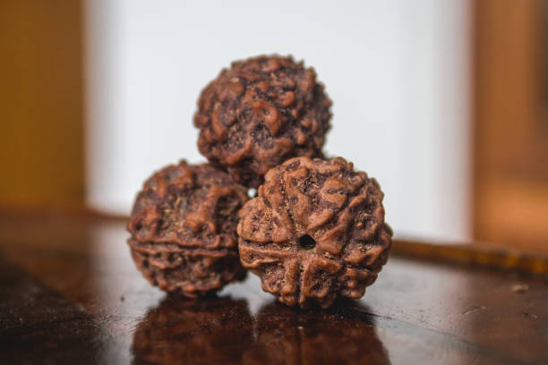 5 Mukhi Rudraksha Sahakara Nagar